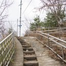 중앙동177 이미지