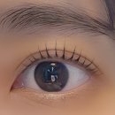 강아지 뷰티 | 부천 앙비떼뷰티 속눈썹펌 후기(강아지동반 가능)