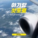 송영농장 | 세돌 아기와 삿포로 7박8일 자유여행 - 항공권, 호텔, 일일투어 준비편