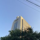 서울 연극 추천 다정한 배웅 관람 후기 / 장용, 금동현, 서권순, 서태인, 한일규, 정다연