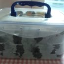 조은날김밥