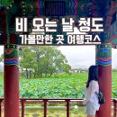 동교길-6 | 비 오는 날 청도 가볼만한곳 경북 여행코스