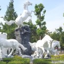 신트리공원 축구장 이미지