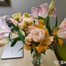 모세마취통증의학과의원 이미지