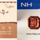 커피밥나무 이미지