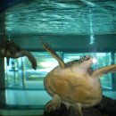 수산과학관 이미지