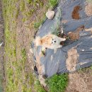 칠곡온동물의료센터 이미지