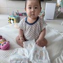 잇네이처 | 여름기저귀로 강추 팸퍼스 2026 터치 오브 네이처 썸머팬티 7개월아기5단계 사용후기