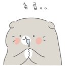 돈푸대포차 이미지