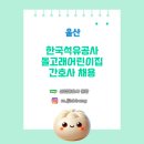 돌고래어린이집 이미지