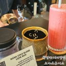 노아커피 | [부산]광안리 커피맛집 노아브루어스 내돈내산 재방문 솔직후기|광안리카페추천