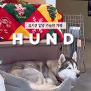 카페훈트 이미지