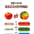 대저상회 - 함평군 곤재로 388 | 대저상회
