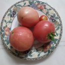 아침에수확한