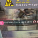 만카츠 | 타임머신이 있다면 날 내년 8월로 데려다줄래?