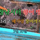 붕어랑메기랑 이미지