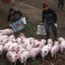 병찬농장 이미지