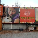 펫클럽 계양점 이미지