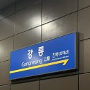 씨웰빙하우스 | 울릉도 가기 전 강릉항 근처 숙소 추천, 안목해변 씨웰빙하우스
