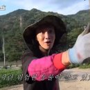 이광수농장 이미지