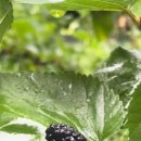 원창농장 이미지