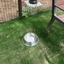 마두운동장 | 새로 바뀐 일산 정발산 공원 반려견 놀이터🐶 무료 애견 운동장 후기