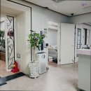 대한메디케어 | {경기도, 성남, 요양원, 요양센터, 추천!} 분당메디케어 성남 분당메디케어, 믿을 수 있는 요양원