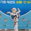 경희대 드림태권도 이미지