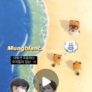 멍블랑 반려견미용실 이미지