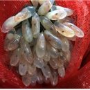 자원목장 이미지