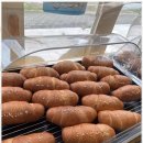 Wellness Gym 이미지