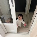 하트돌리 | 11개월 아기 걸음마 신발 후기 (에뜨와115/팁토이조이120/반스105사이즈)