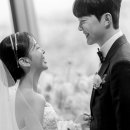 세인트41 이미지