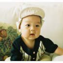 후지FDI Daum카페