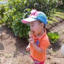 준서네 농장 이미지