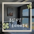 강동면 부조마당 이동식화장실 | 임신일기[26w5d] | 부산 여행. 기장 오시리아 후기. 기장시장 회센터. 부산 카페 추천.