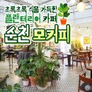 모초록 이미지