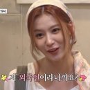 핫 독(HOT DOG) 이미지