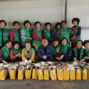 대흥면행정복지센터 이미지