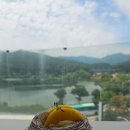 로즈마리숲 | 대왕저수지 베이커리 맛집 성남 로즈마리 카페를 서울 근교 드라이브 코스로 추천해요