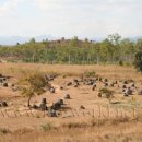 라오스 여행정보 - 시엥쿠앙(폰사완) 항아리평원 1,2 (plain of jars) 이미지