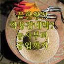 정석자동차정비공장 이미지