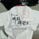 용인대 매화태권도 이미지