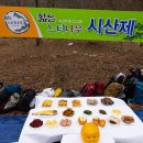 젊은느티나무