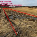 내기초 신영분교장 이미지