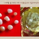 사리 이미지