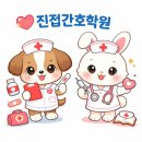 진접간호학원