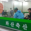 화산축산 이미지