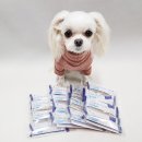 태양메디약품 | 효과적인 강아지 덴탈껌 메디웍스 아나브러쉬 스케일러! 치석제거