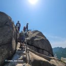 김봉창 코다리 이미지